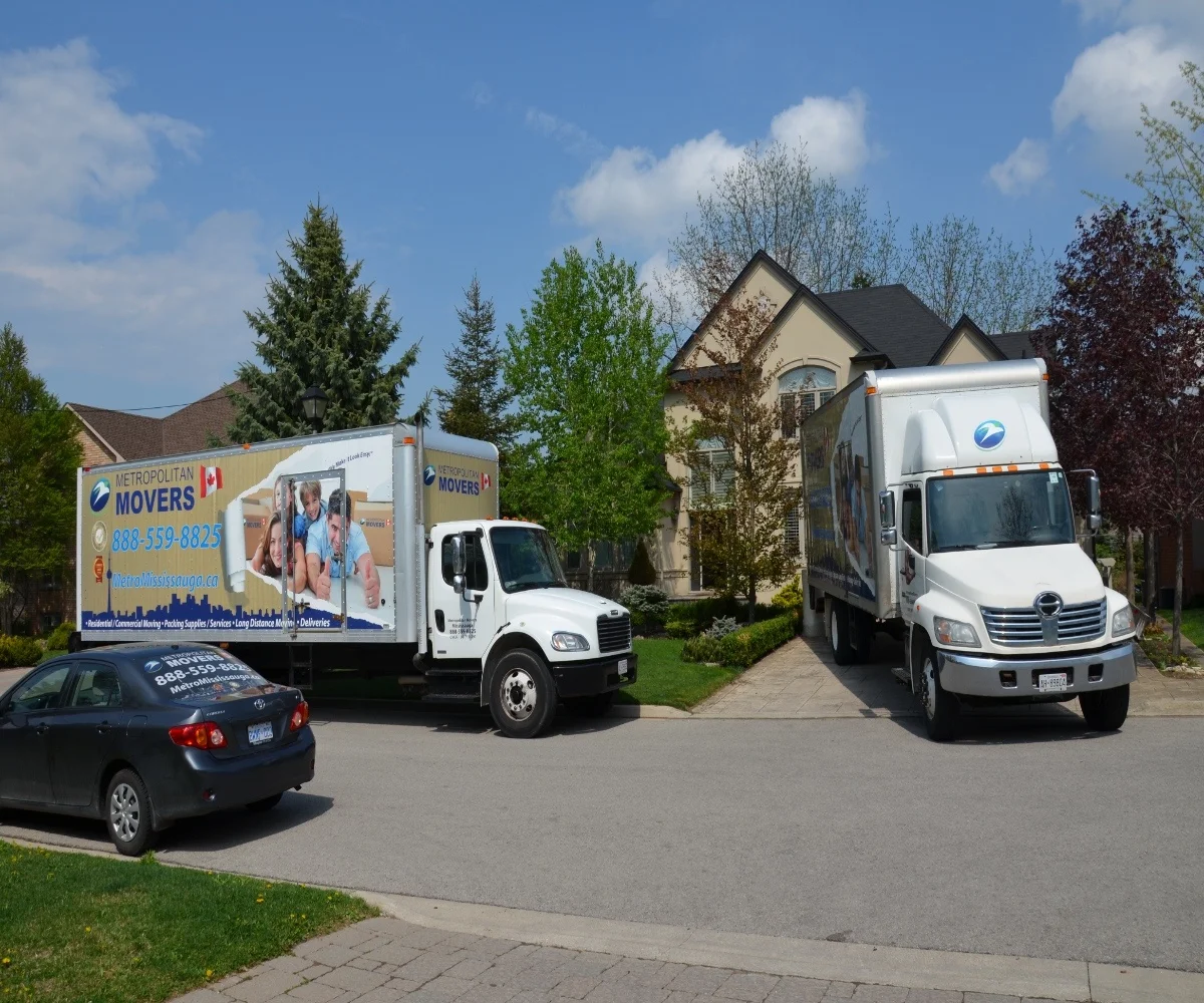 downsizing moving services​
